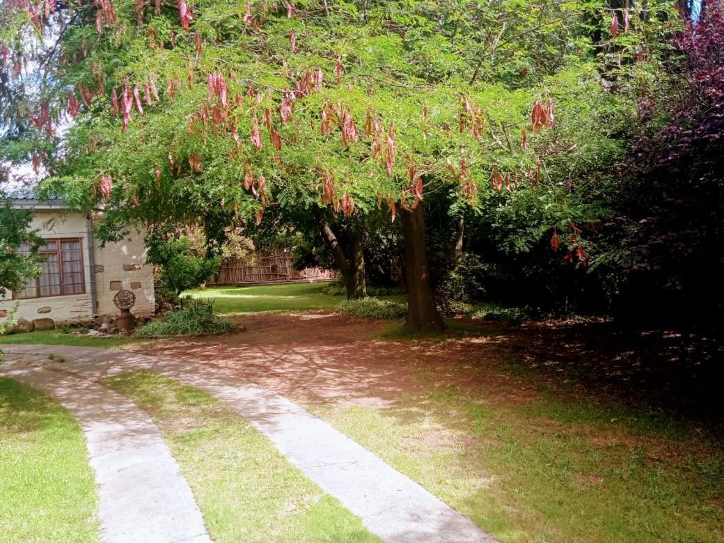 Rheola'S Guest Cottage Harrismith Bagian luar foto
