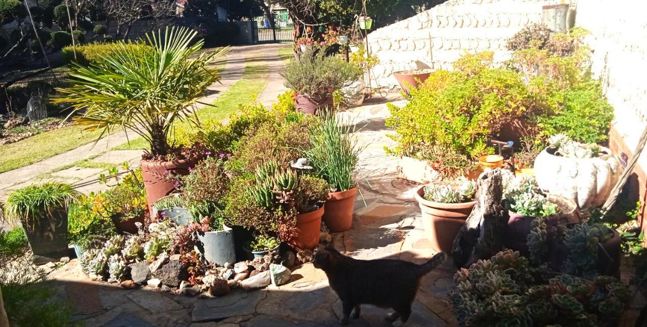 Rheola'S Guest Cottage Harrismith Bagian luar foto